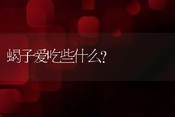 蝎子爱吃些什么？