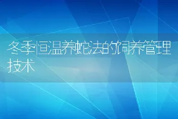 冬季恒温养蛇法的饲养管理技术