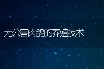 观兔粪治兔病技巧