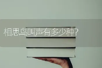 相思鸟叫声有多少种？