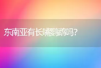 东南亚有长嘴鹦鹉吗？