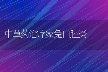 严重影响鱼类生长的藻类及防治方法