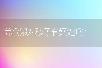 养仓鼠对孩子有好处吗？