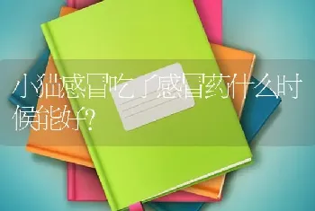 小猫感冒吃了感冒药什么时候能好？