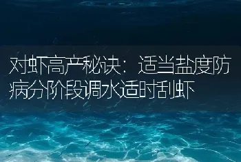 对虾高产秘诀：适当盐度防病分阶段调水适时刮虾