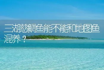 三湖慈鲷鱼能不能和地图鱼混养？