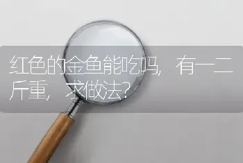 红色的金鱼能吃吗,有一二斤重,求做法？