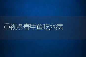 重视冬春甲鱼吃水病