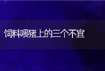 专家称赞苍蝇是蛋白加工厂养殖蛆虫　有利可图