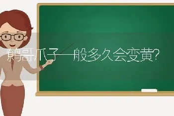 鹩哥爪子一般多久会变黄？