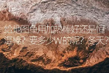 给地图鱼用加热棒好还是恒温棒？要多少W的呢？冬天？