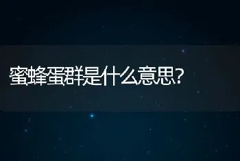 蜜蜂蛋群是什么意思？