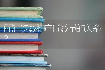 7个月拉布拉多犬每天吃几顿饭？