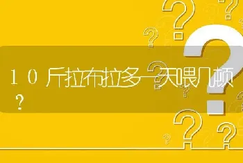 10斤拉布拉多一天喂几顿？