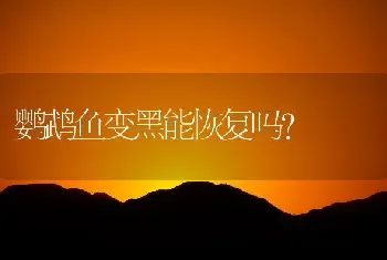 鹦鹉鱼变黑能恢复吗？