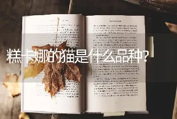 阿拉斯加，每天喂食量是体重的多少？