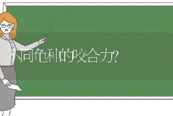 小狗不爱动就趴着不走路也不喜欢出去？