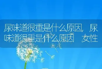 尿味道很重是什么原因，尿味道很重是什么原因 女性