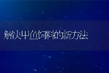 解决甲鱼饲料的新方法