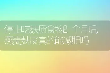 停止吃麸质食物2个月后，燕麦麸皮真的能减肥吗