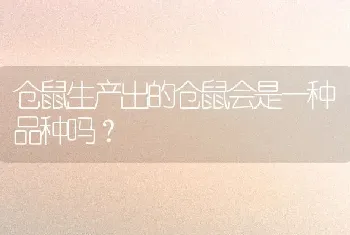 仓鼠生产出的仓鼠会是一种品种吗？