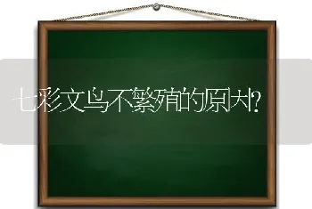 七彩文鸟不繁殖的原因？