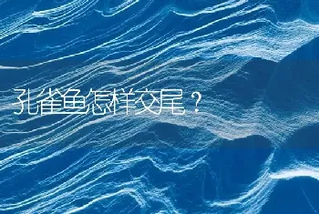 孔雀鱼怎样交尾？