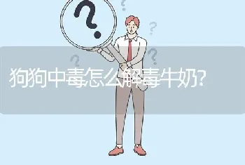 狗狗中毒怎么解毒牛奶？