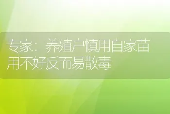 专家：养殖户慎用自家苗用不好反而易散毒