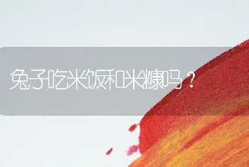 兔子吃米饭和米糠吗？