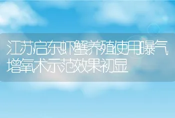 江苏启东虾蟹养殖使用曝气增氧术示范效果初显