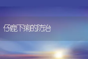 仔鹿下痢的防治