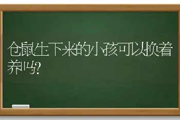 仓鼠生下来的小孩可以换着养吗？