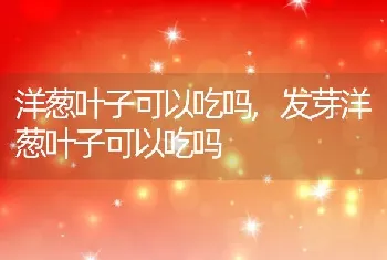 洋葱叶子可以吃吗，发芽洋葱叶子可以吃吗