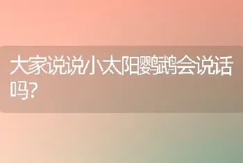 大家说说小太阳鹦鹉会说话吗？