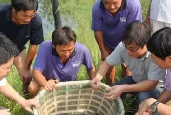 南美白对虾养殖，水色和透明度的四大作用