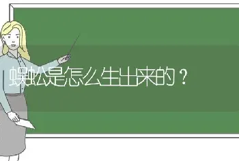 蜈蚣是怎么生出来的？