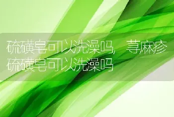 硫磺皂可以洗澡吗，荨麻疹硫磺皂可以洗澡吗