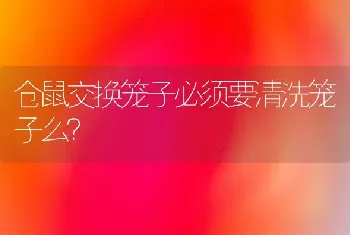 仓鼠交换笼子必须要清洗笼子么？