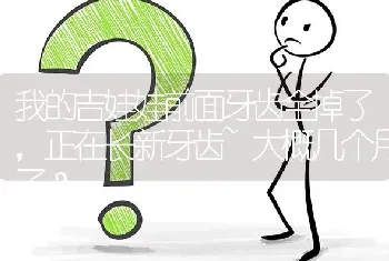 我的吉娃娃前面牙齿全掉了，正在长新牙齿~大概几个月了？