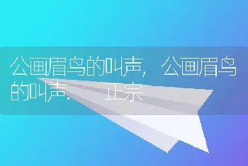 公画眉鸟的叫声，公画眉鸟的叫声. 正宗