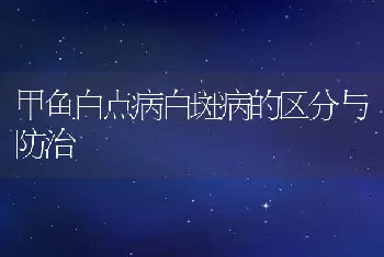 甲鱼白点病白斑病的区分与防治