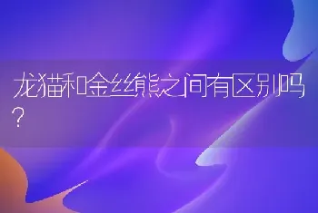 龙猫和金丝熊之间有区别吗？