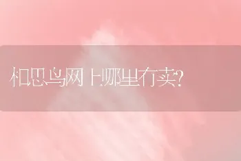 相思鸟网上哪里有卖？