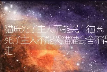 狗狗掉毛严重什么原因，泰迪狗狗掉毛严重什么原因