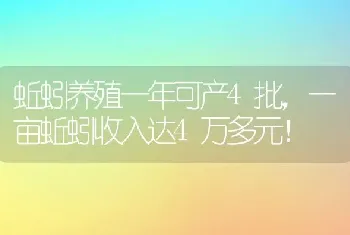 蚯蚓养殖一年可产4批，一亩蚯蚓收入达4万多元！