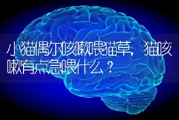 抖音拍唯美博美的名字？