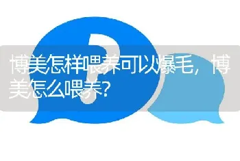 博美怎样喂养可以爆毛，博美怎么喂养？