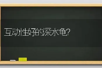 互动性好的深水龟？