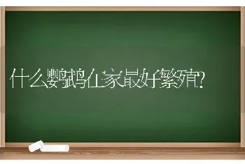 2021生肖对应表？